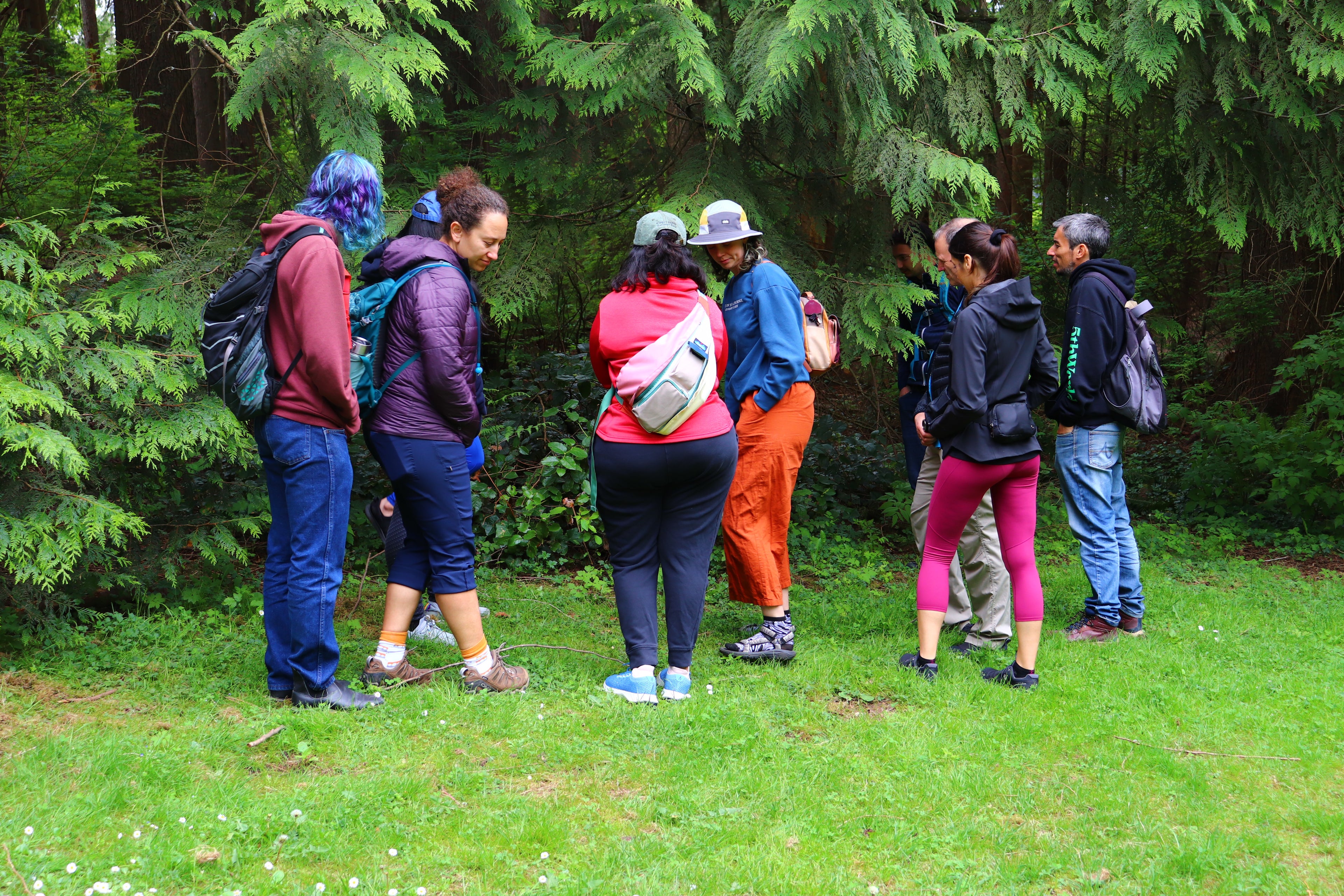 Group of people standing in a forest, wearing outdoor gear.