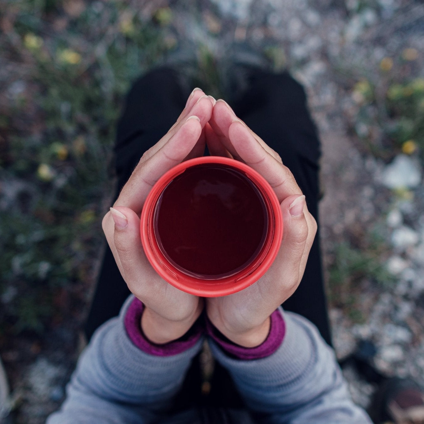 Sacred Grounds: Organic Chaga-Coffee Mocha (sugar-free, dairy-free)