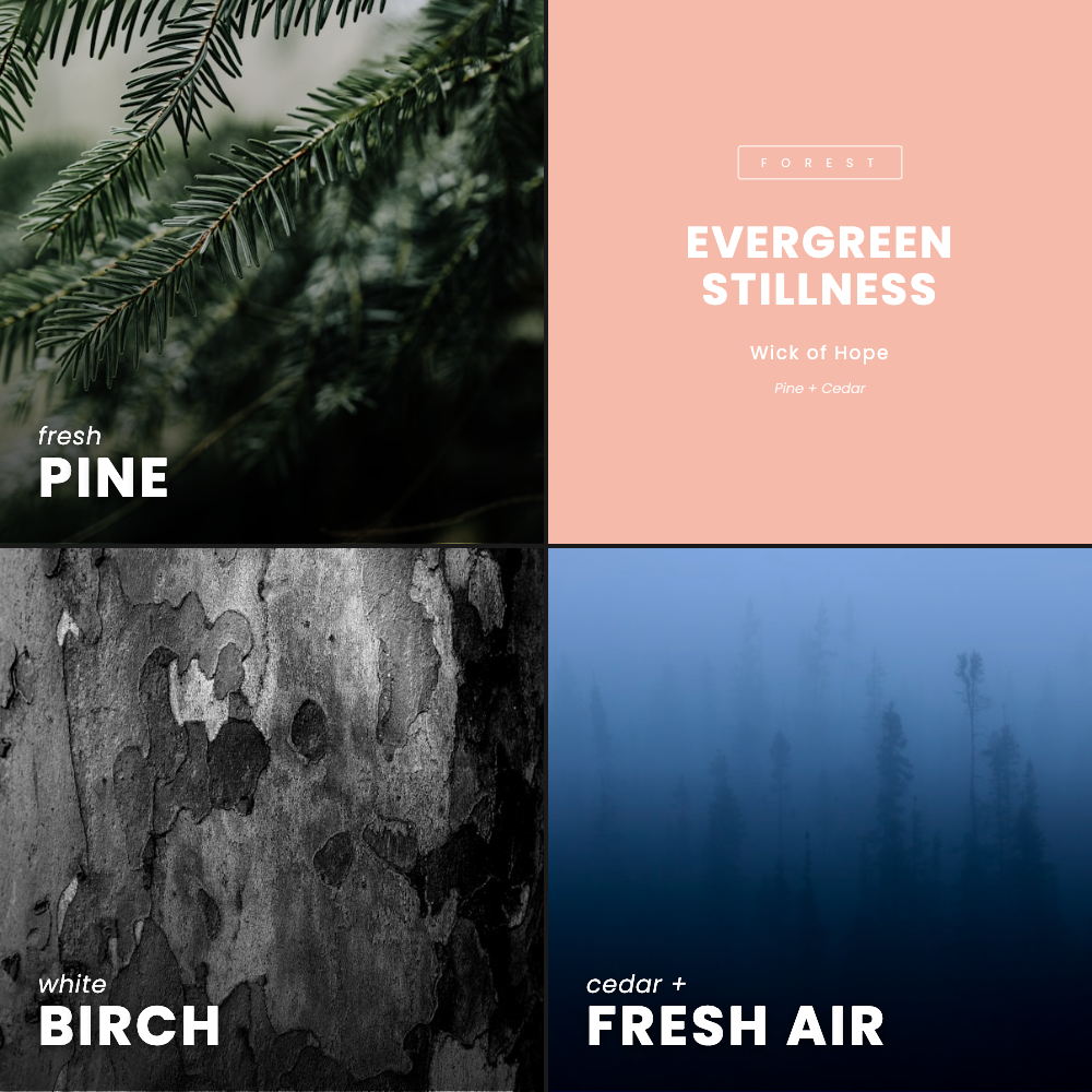 Evergreen Stillness Candle | Pine + Cedar