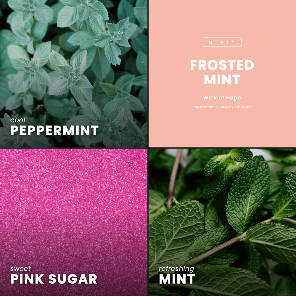 Frosted Mint Candle | Peppermint + Sweet Pink Sugar