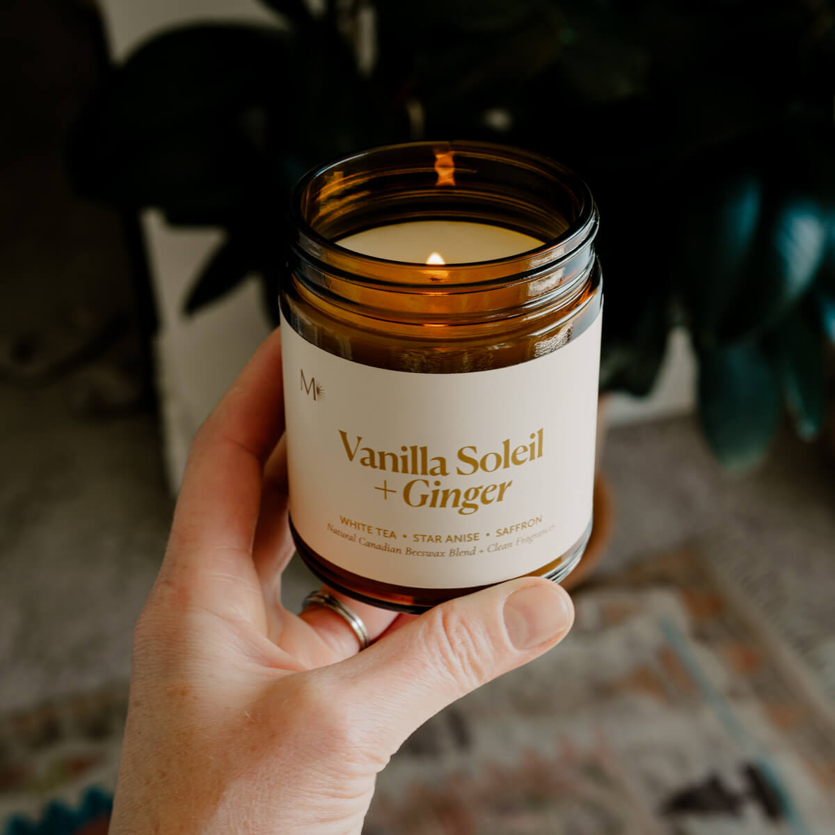 Vanilla Soleil + Ginger Candle