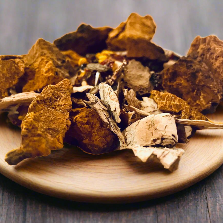 Warm Earth Chaga Turmeric Tea